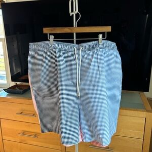 Men's Blue and Pink Gingham Swim Shorts